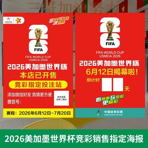 世界杯投注网站大全是否安全？入口汇总带你了解（世界杯官方信息）